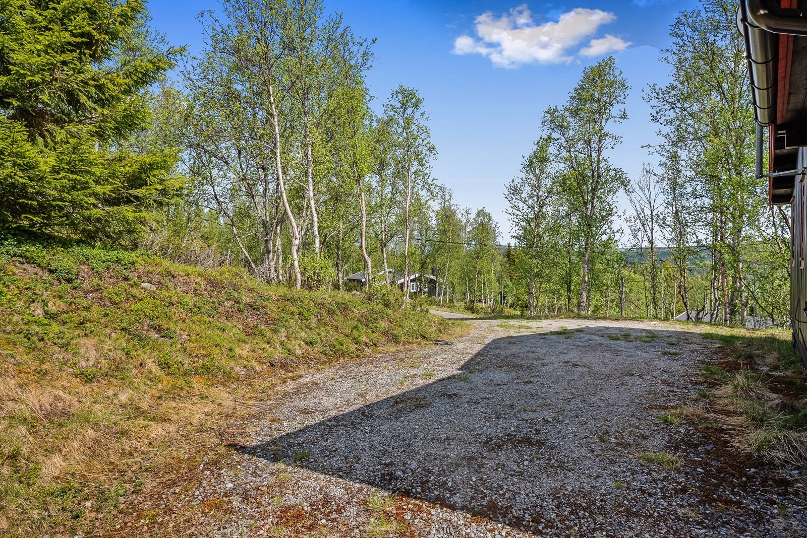 Det er helårsvei fram til hytta og parkeringsplasser på tomta. Galleribilde
