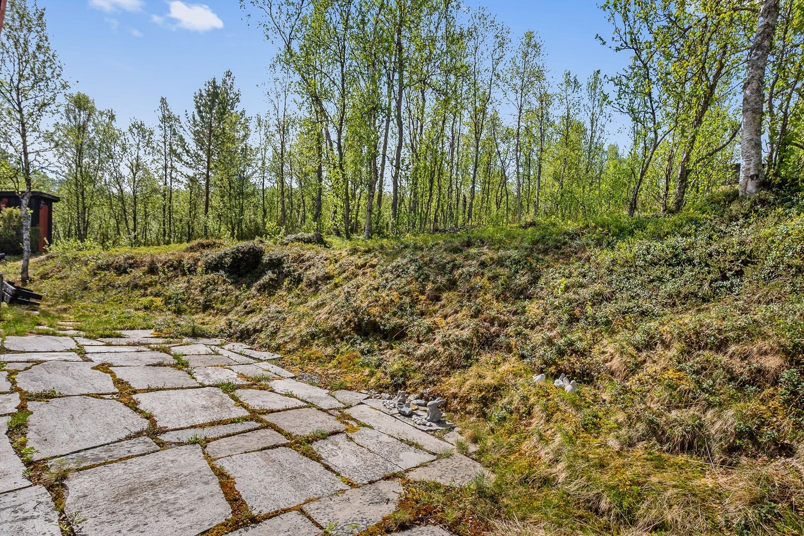 Tomta framstår i all hovedsak som en naturtomt. Galleribilde