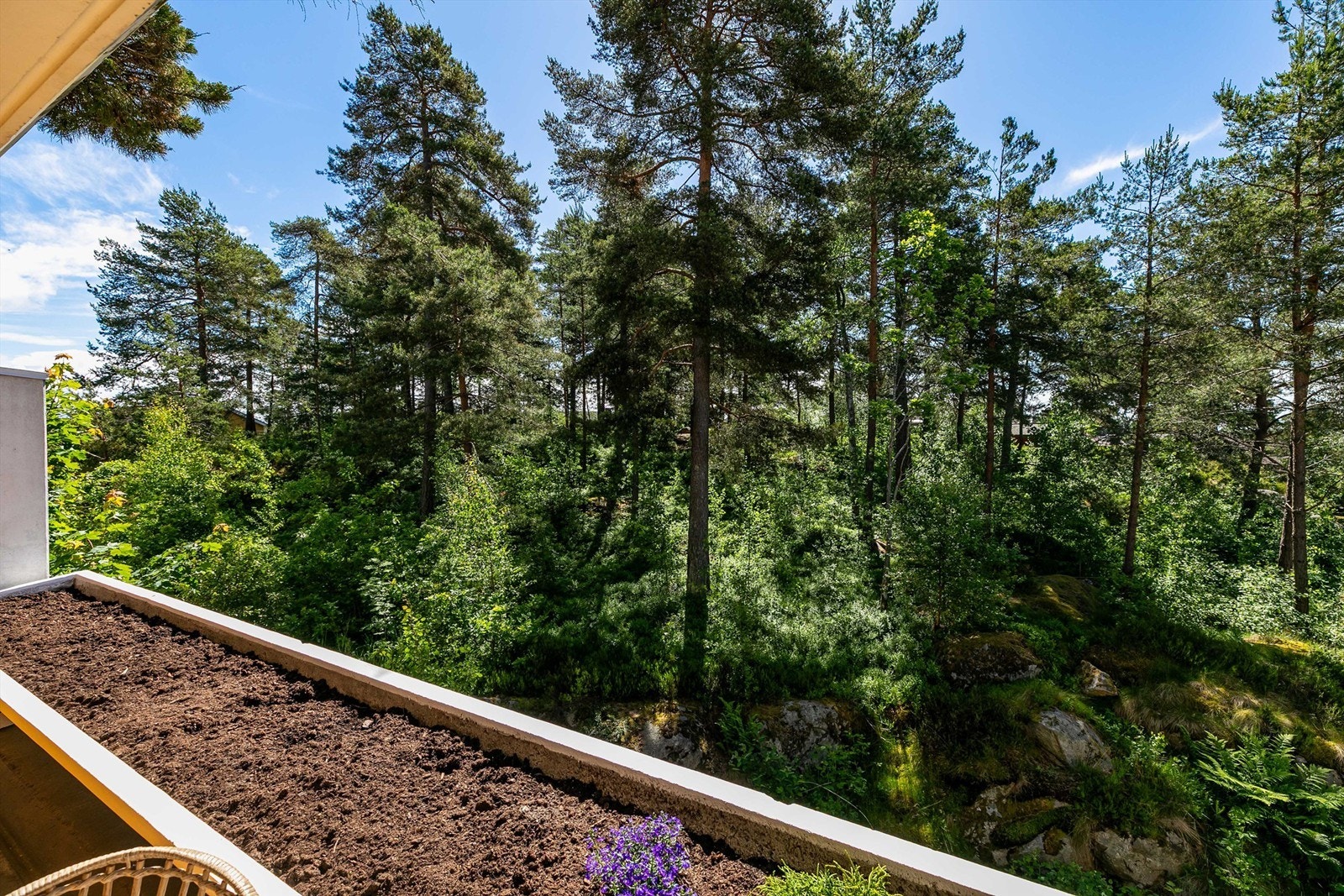 På balkongen sitter du orientert mot både solens gang gjennom dagen og det fredelige skogholtet som sikrer at innsyn ikke er et tema. Galleribilde