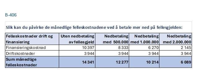Mulighet for nedbetaling av fellesgjeld (IN) - Leilighet B-406 Galleribilde