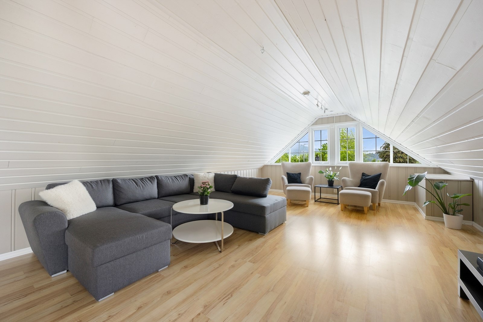 Romslig loftstue med laminatgulv og malt panel på vegger og i himling. Galleribilde