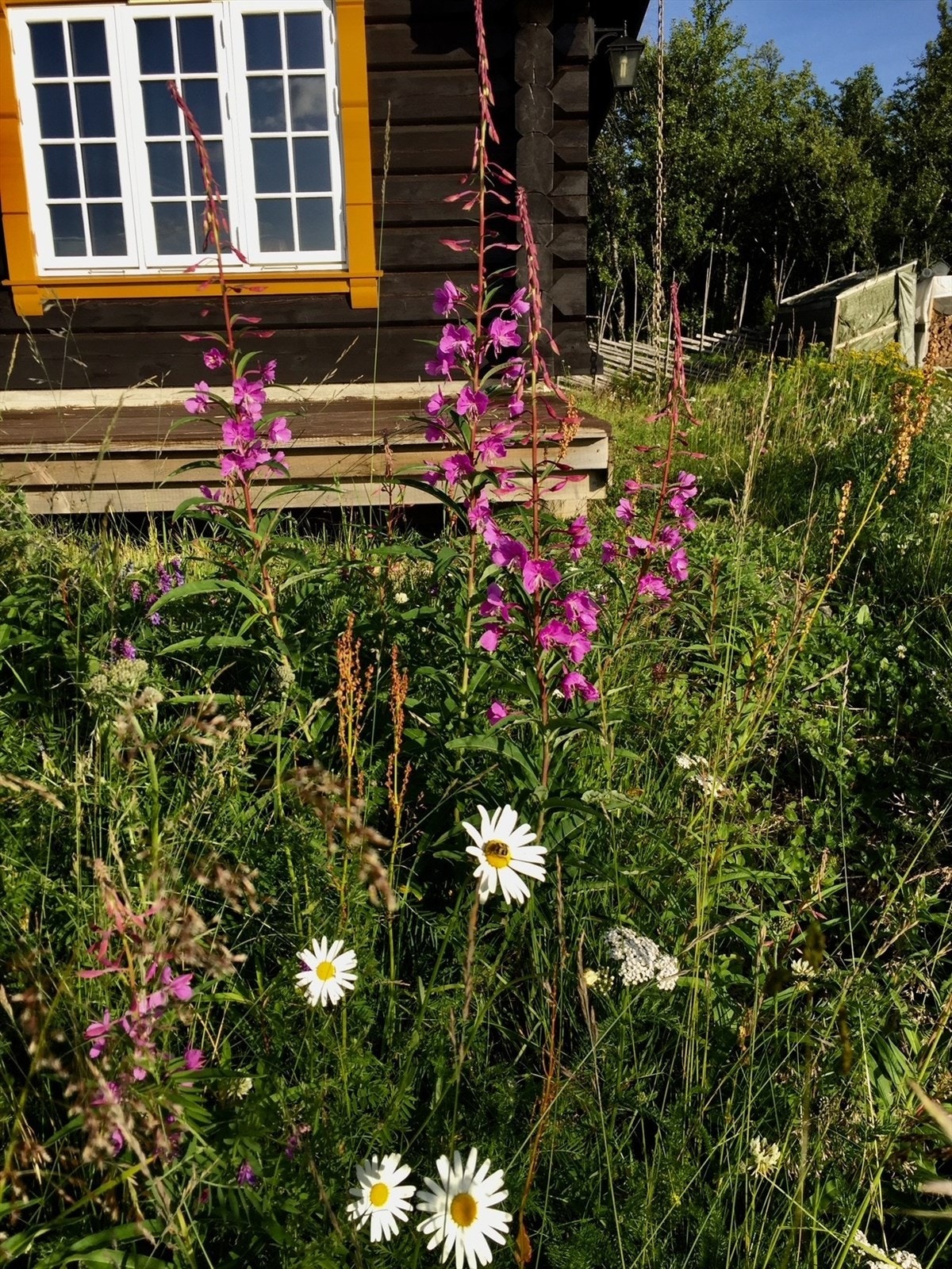 Sommeridyll i Skørvestølsvegen 134! (Selgers foto) Galleribilde