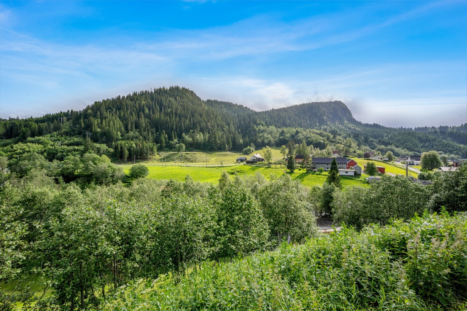 299401_JKH_6682.jpg Galleribilde