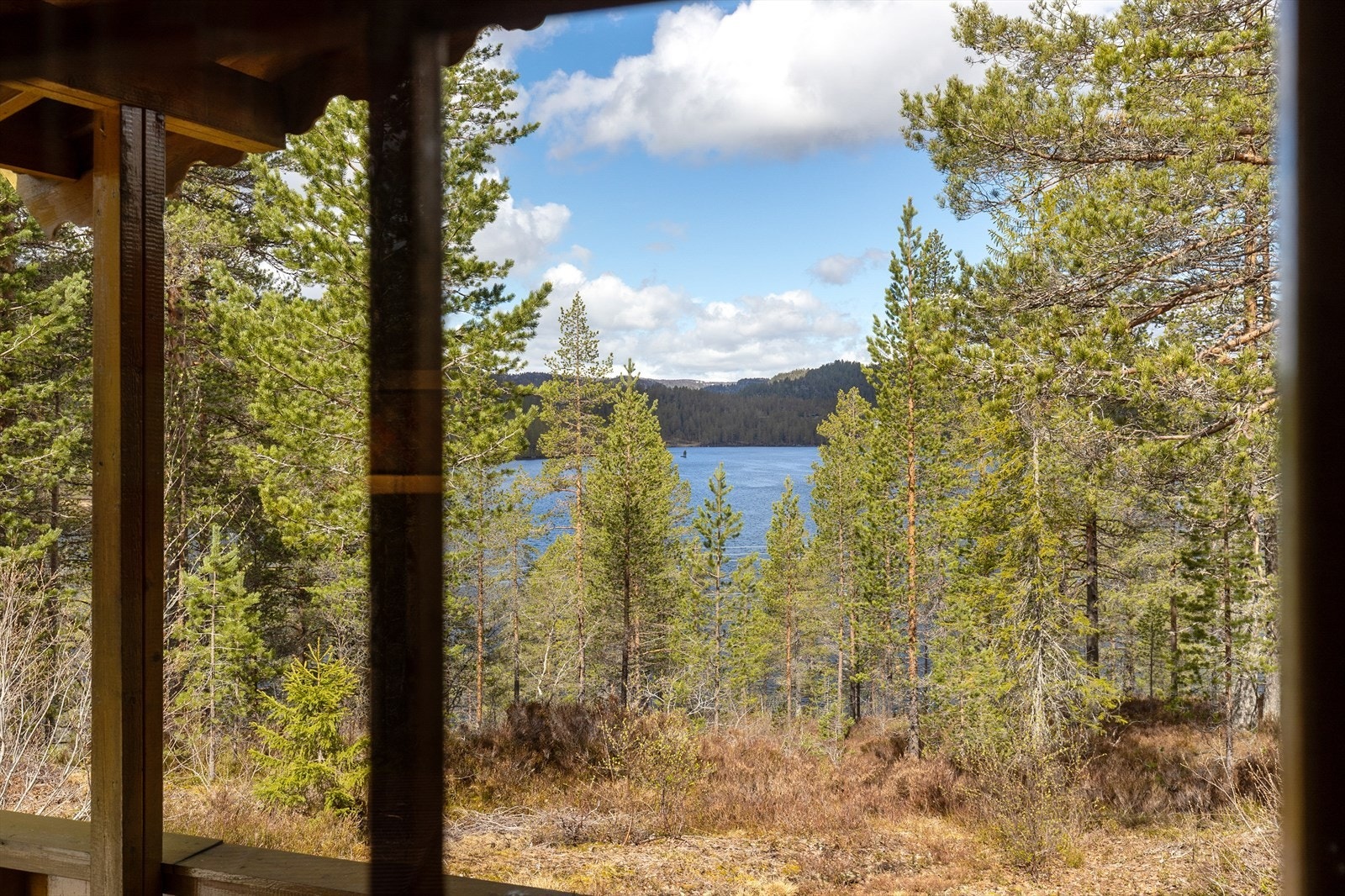 Fra verandaen er det utsikt mot skogen og Brutjønn. Galleribilde