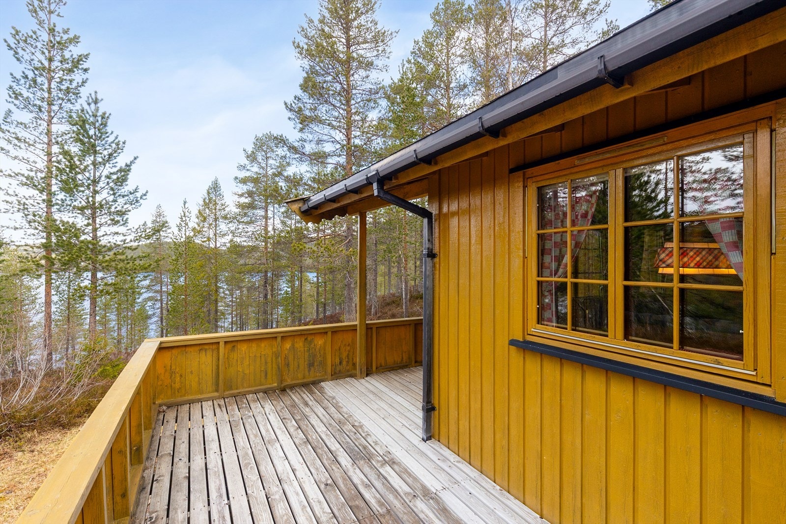 Fra verandaen er det utsyn gjennom furutrærne mot vannet nedenfor. Galleribilde