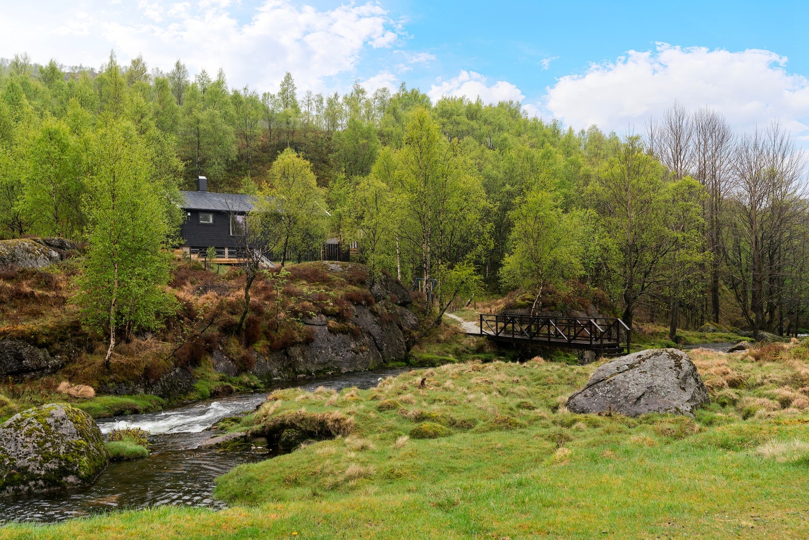 Et nydelig område. Galleribilde