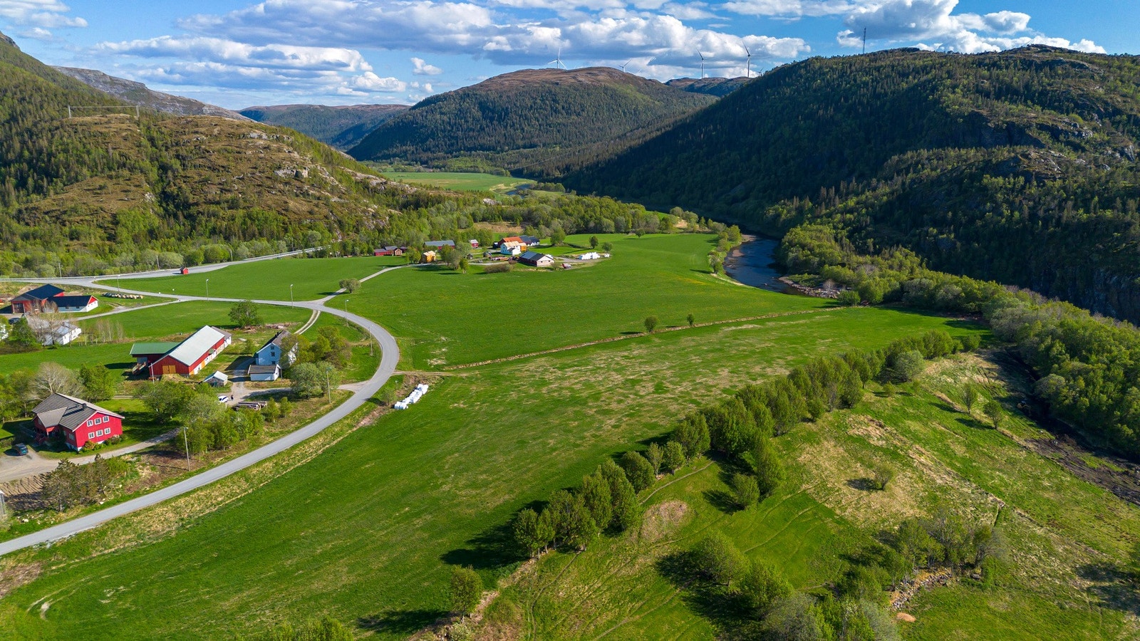 Oversiktsbilde Galleribilde