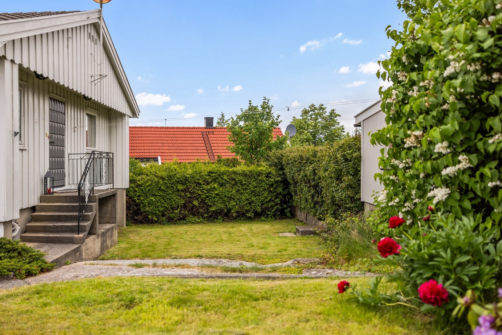 Hagen er opparbeidet med plen og hekk. Galleribilde