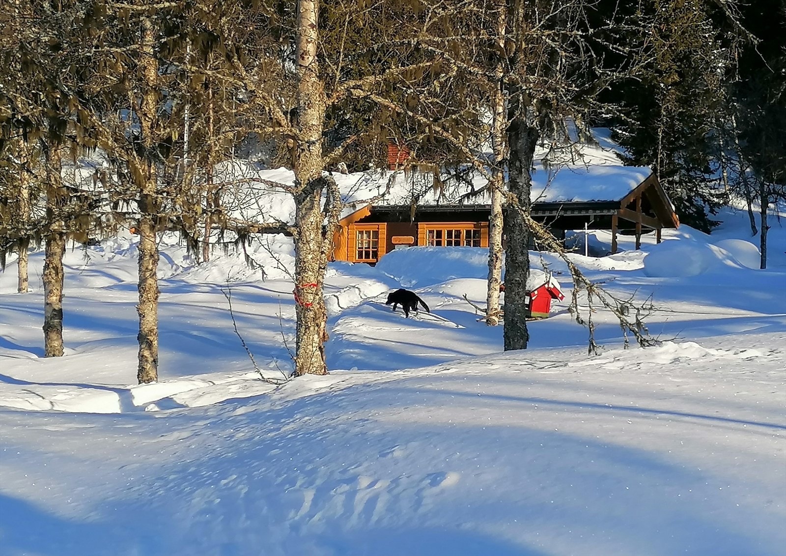 Herlig snødekt landskap rundt hytta. Privat foto. Galleribilde