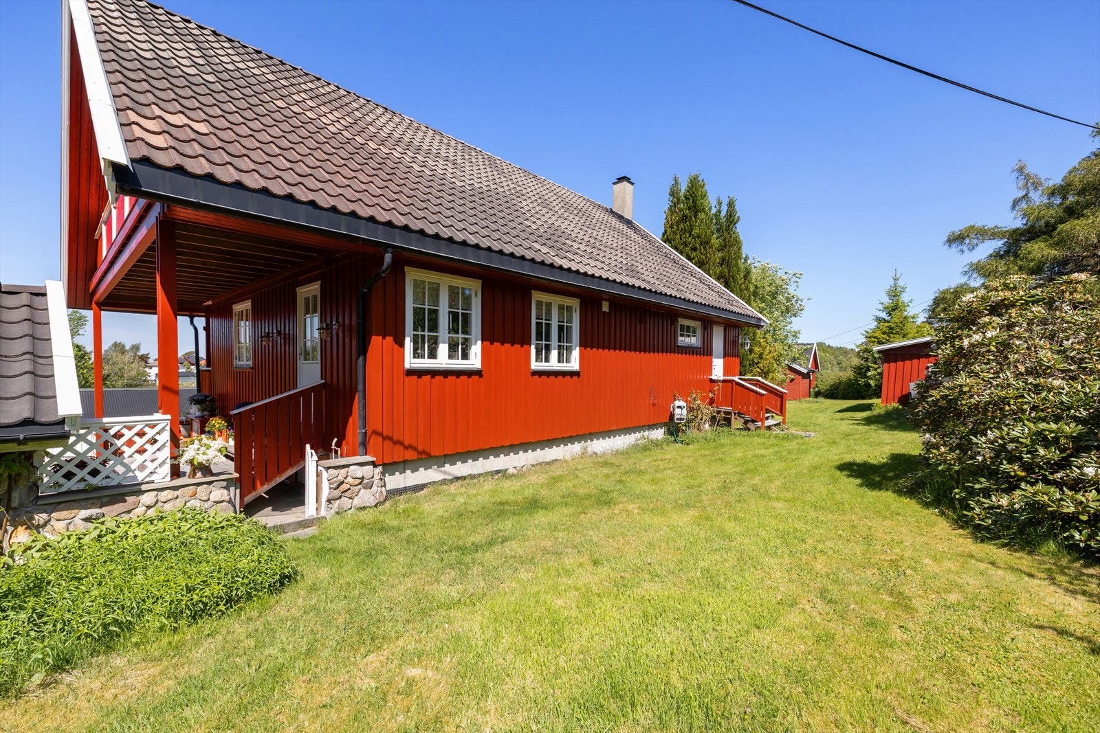 Stor gressplen på baksiden av huset Galleribilde