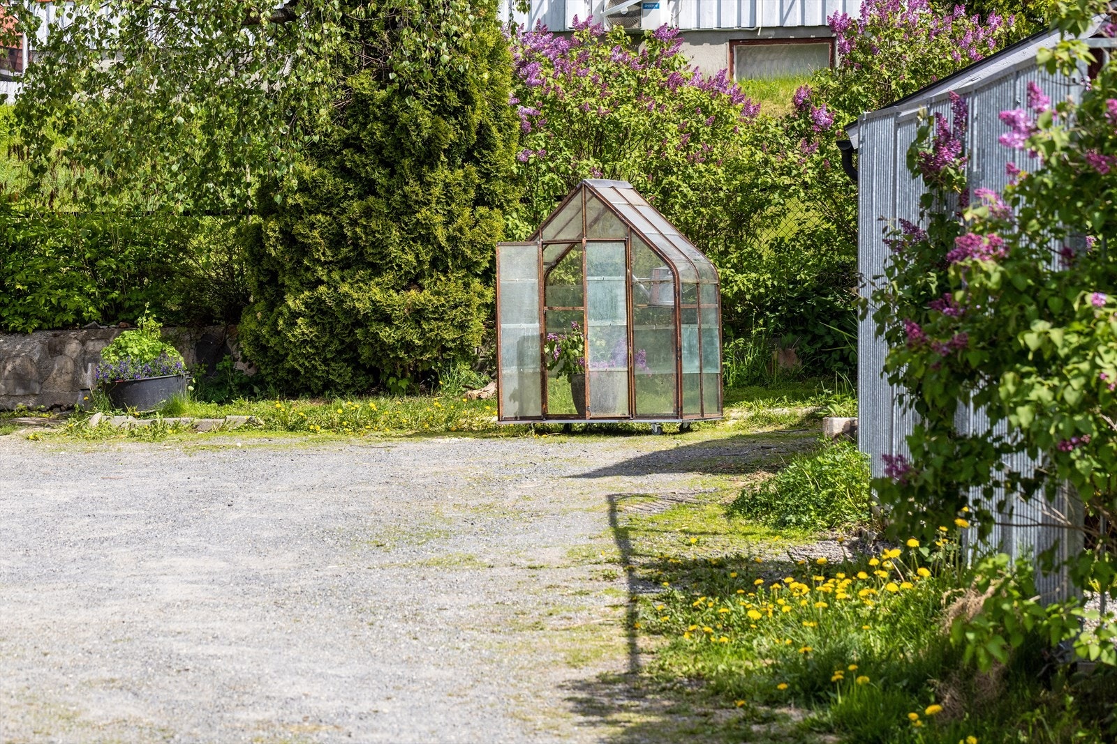 Det lille drivhuset i hagen er perfekt for dyrking av egne urter og grønnsaker. Galleribilde