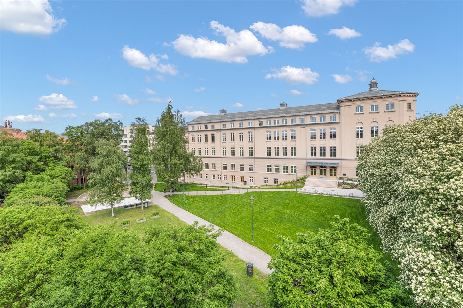 Store vindusflater slipper inn rikelig med dagslys og gir et åpent utsyn mot frodige Bülow Hansens plass. Galleribilde