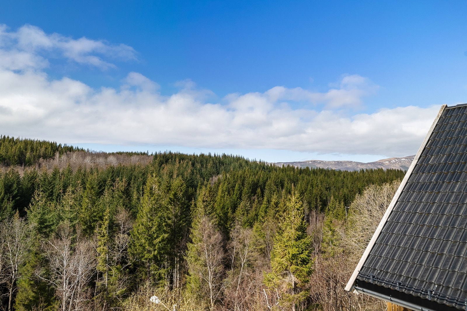 Eiendommen ligger fint til med nærhet til natur og turområder. Galleribilde