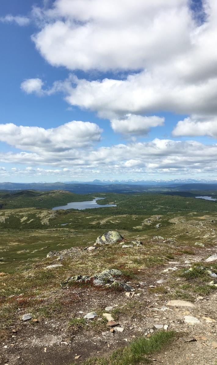 Det bugner av fine turmuligheter sommer som vinter Galleribilde