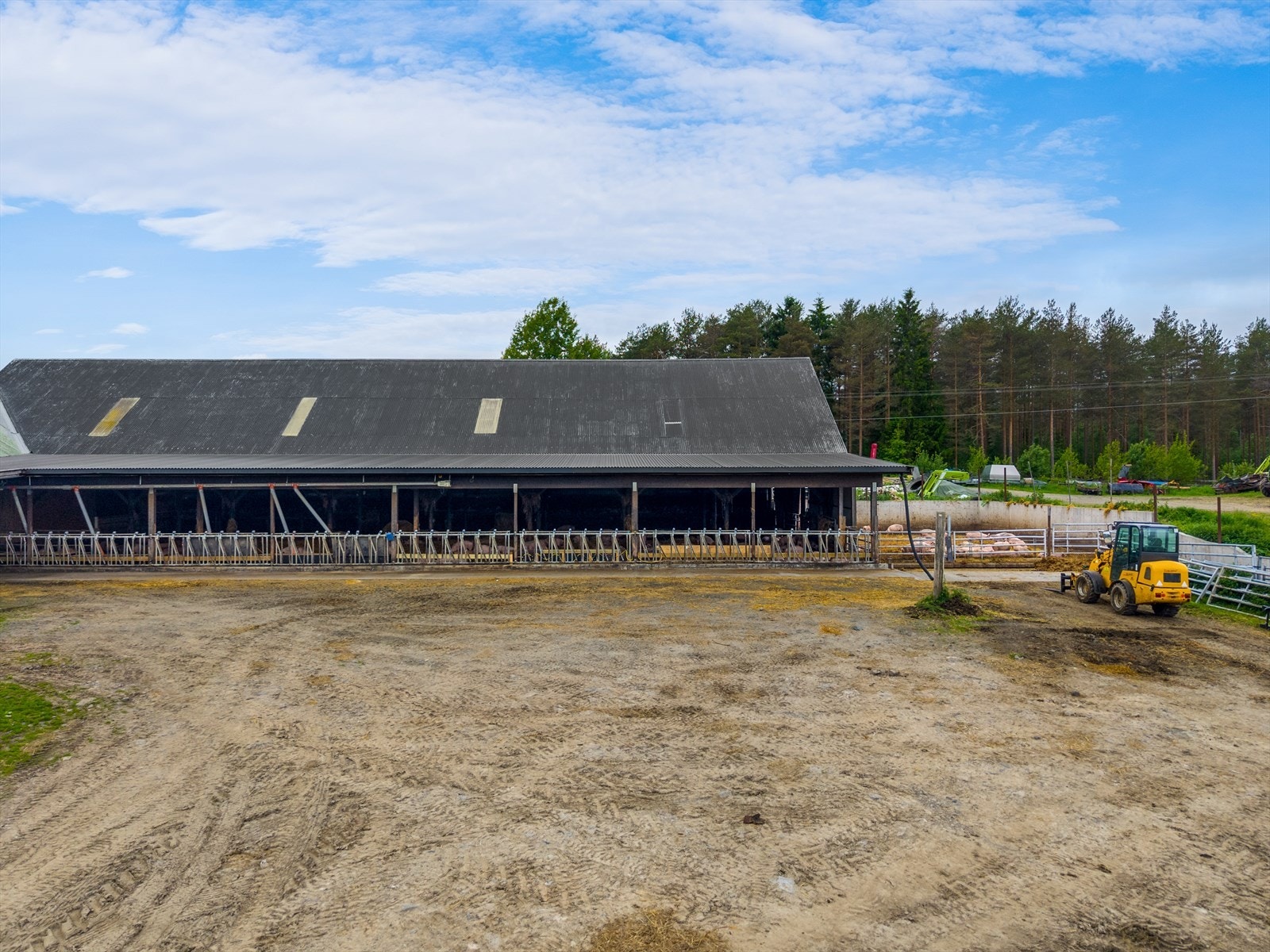 Driftsbygningen er tilrettelagt for ammekuproduksjon med rundt 50 mordyr. Galleribilde