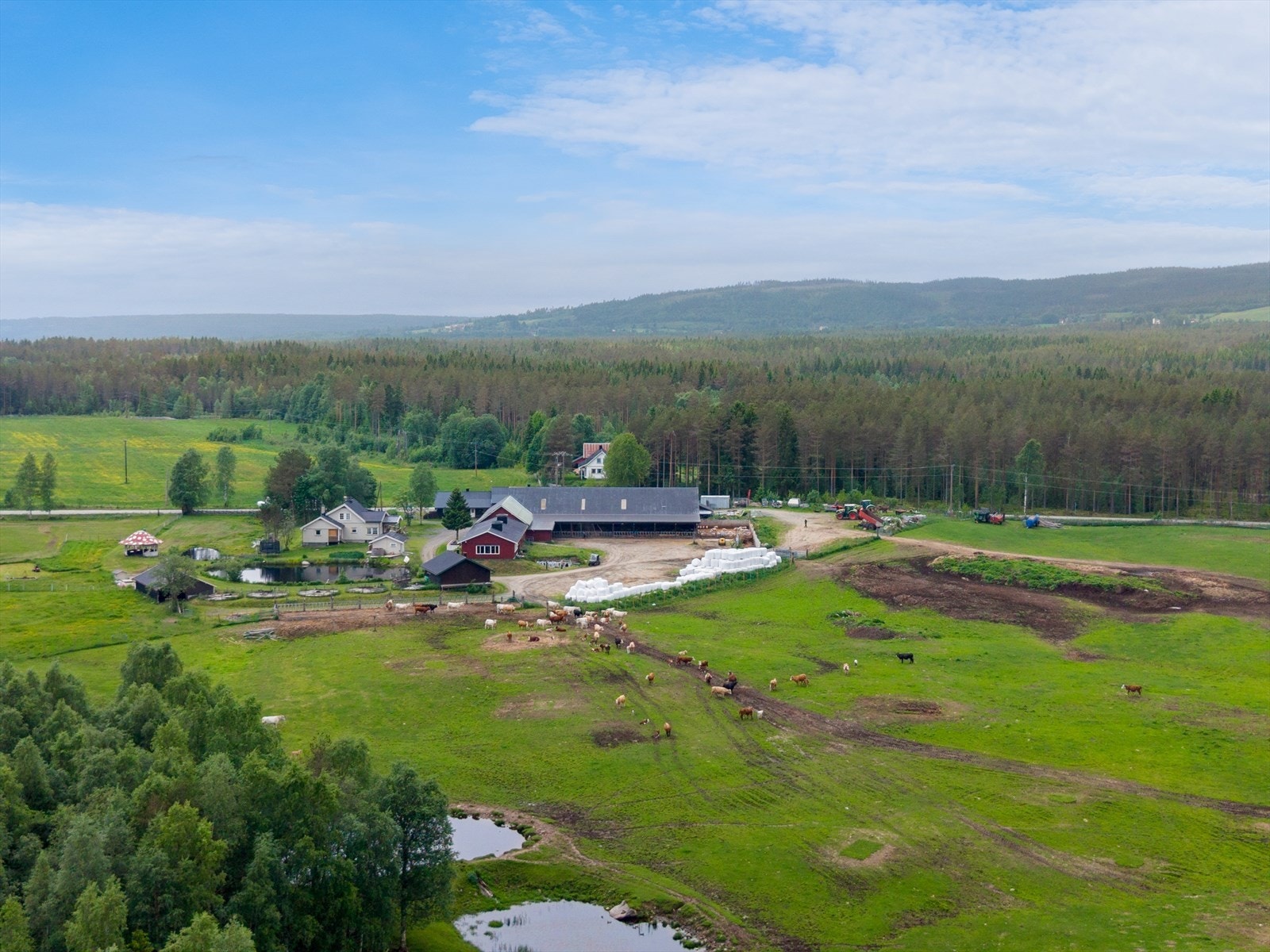 Eiendommen på ca. 480 dekar er i full drift, og byr på en unik kombinasjon av dyrehold, stillhet og nærhet til naturen. Galleribilde
