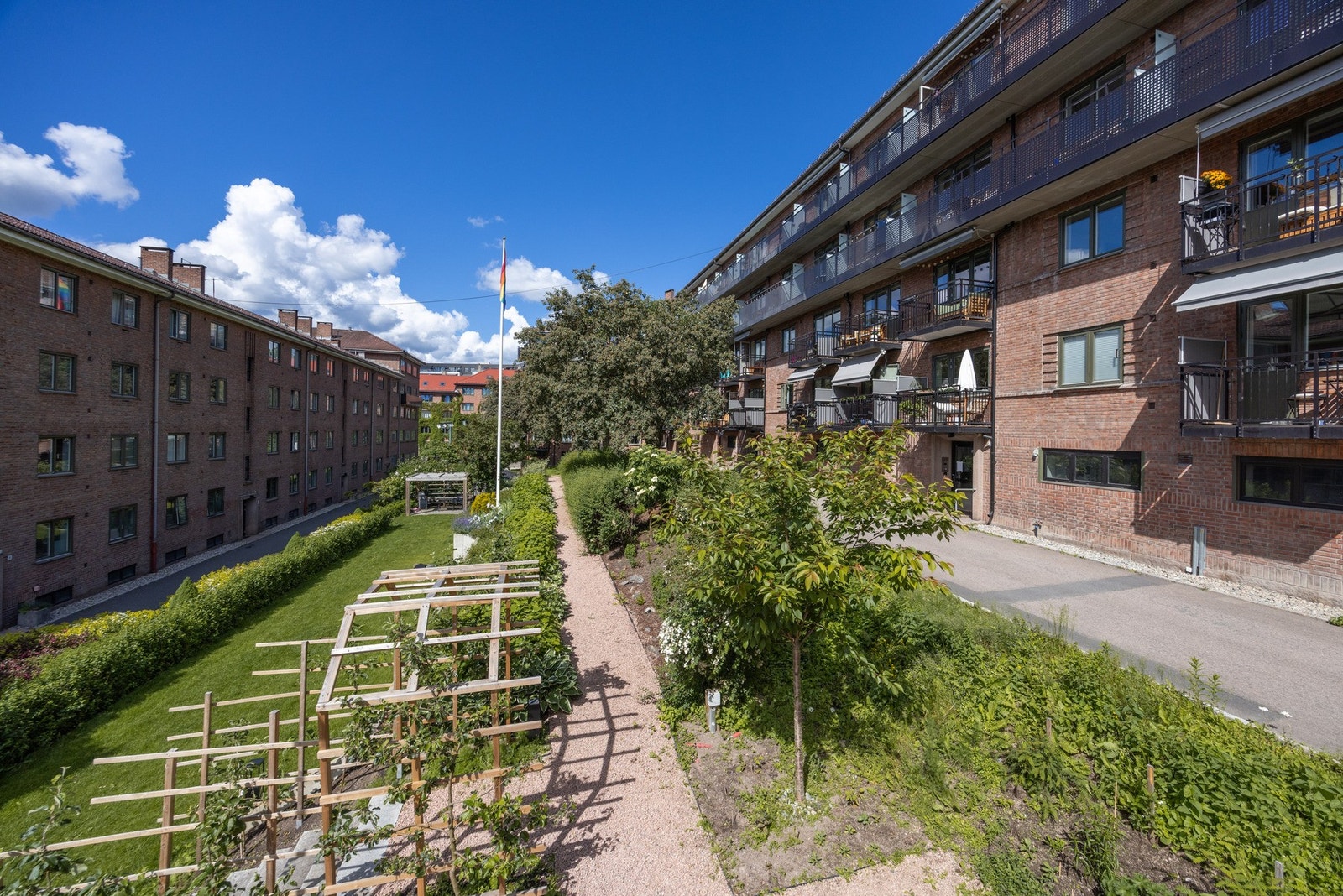 Pent opparbeidet bakgård. Galleribilde