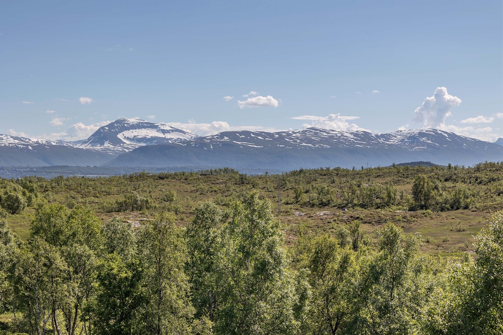 Flott utsyn over naturen i nærområdet Galleribilde