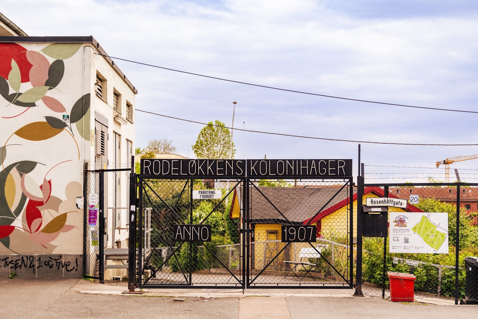 Rodeløkkens kolonihager er verdt et besøk! Galleribilde