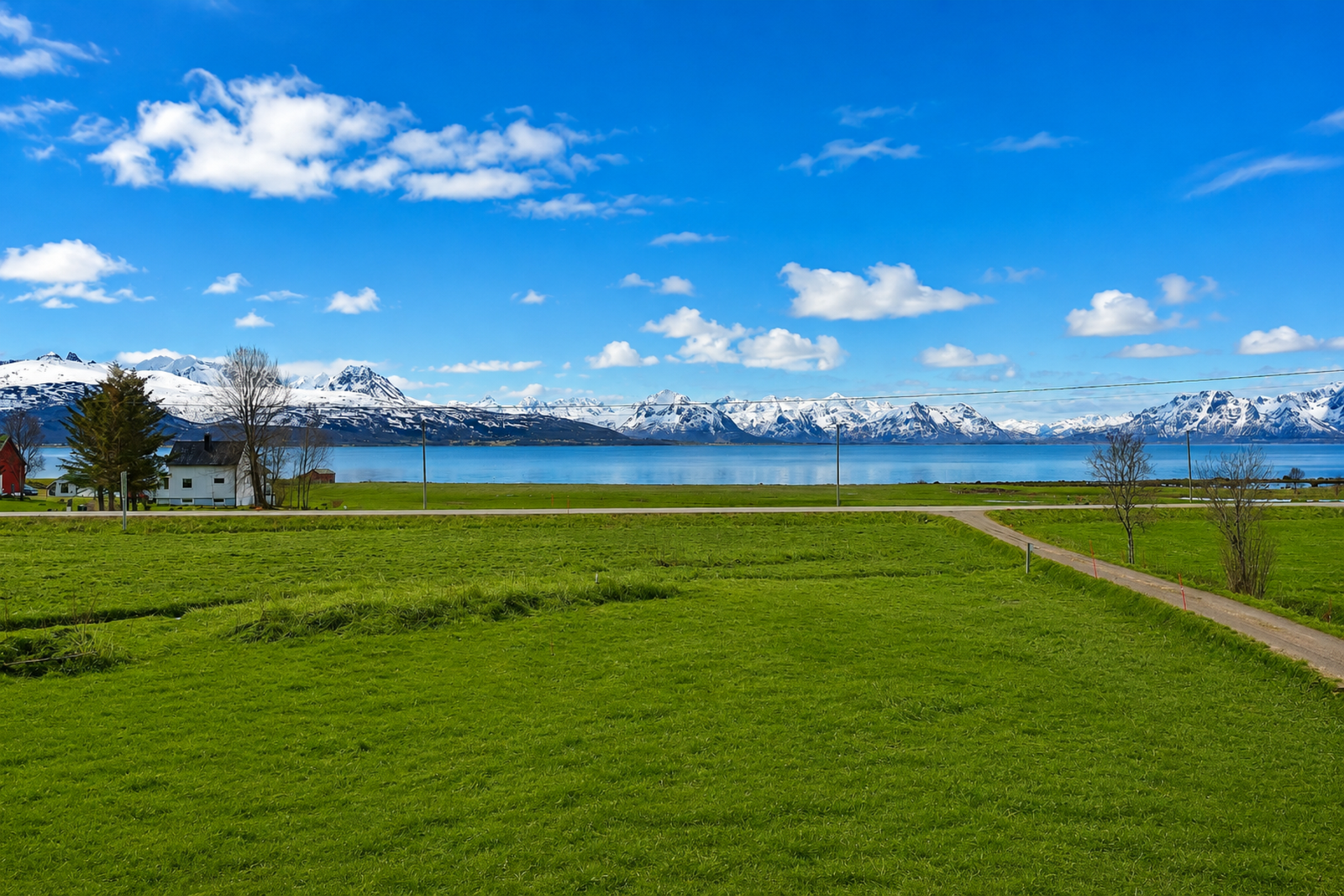 Fri og nydelig utsikt. Herfra kan man se hurtigruta kjøre forbi. (Bildet er AI generert til pent vær og grønt gress). Galleribilde