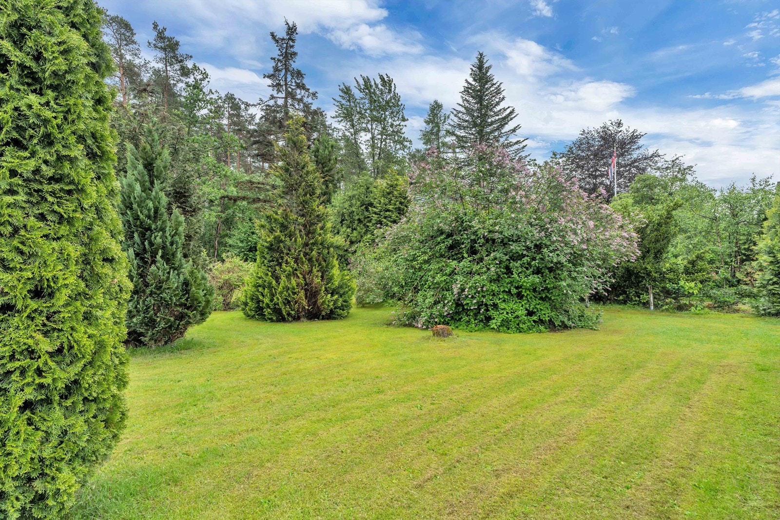 Tomten er pent opparbeidet med stor plen og diverse beplantning. Galleribilde