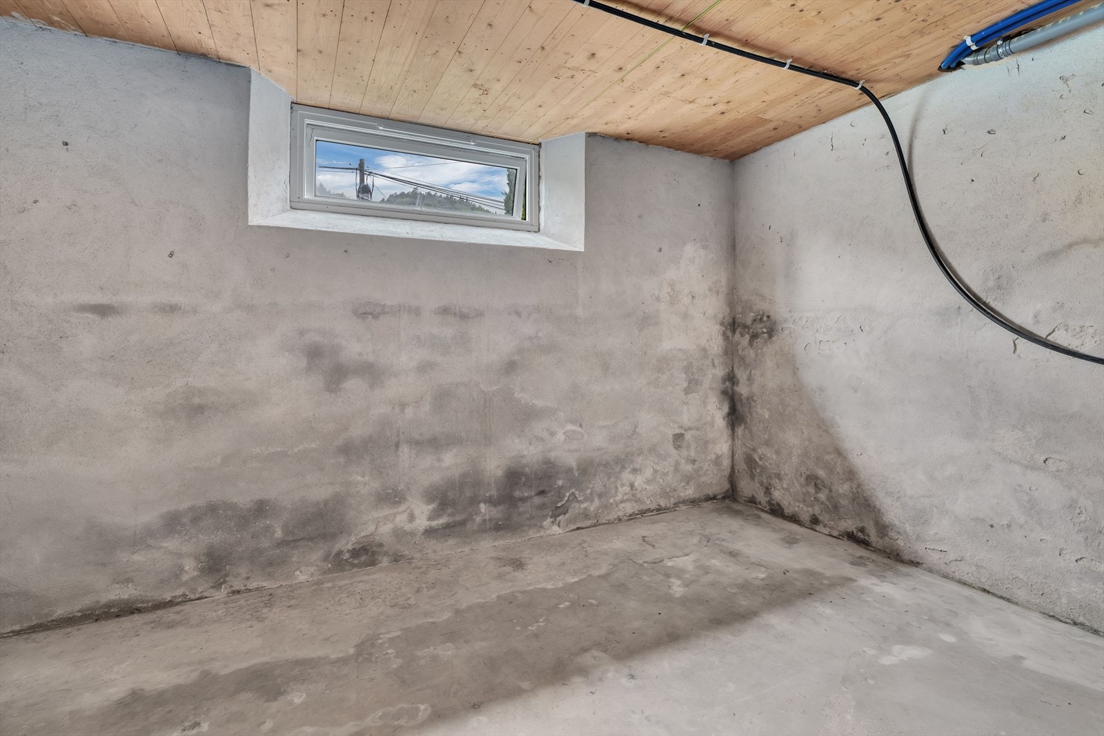 Kjelleren består av boder med betonggulv og -vegger, og fungerer som et rent lagringsareal. Galleribilde