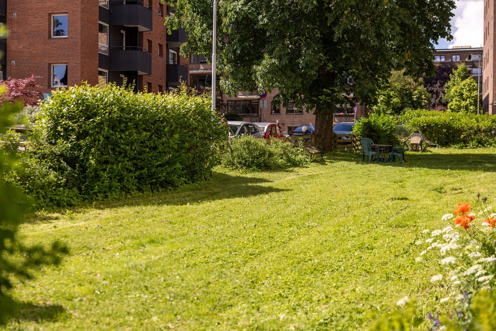 Felles hage med beplanting og sittegrupper for beboerne Galleribilde