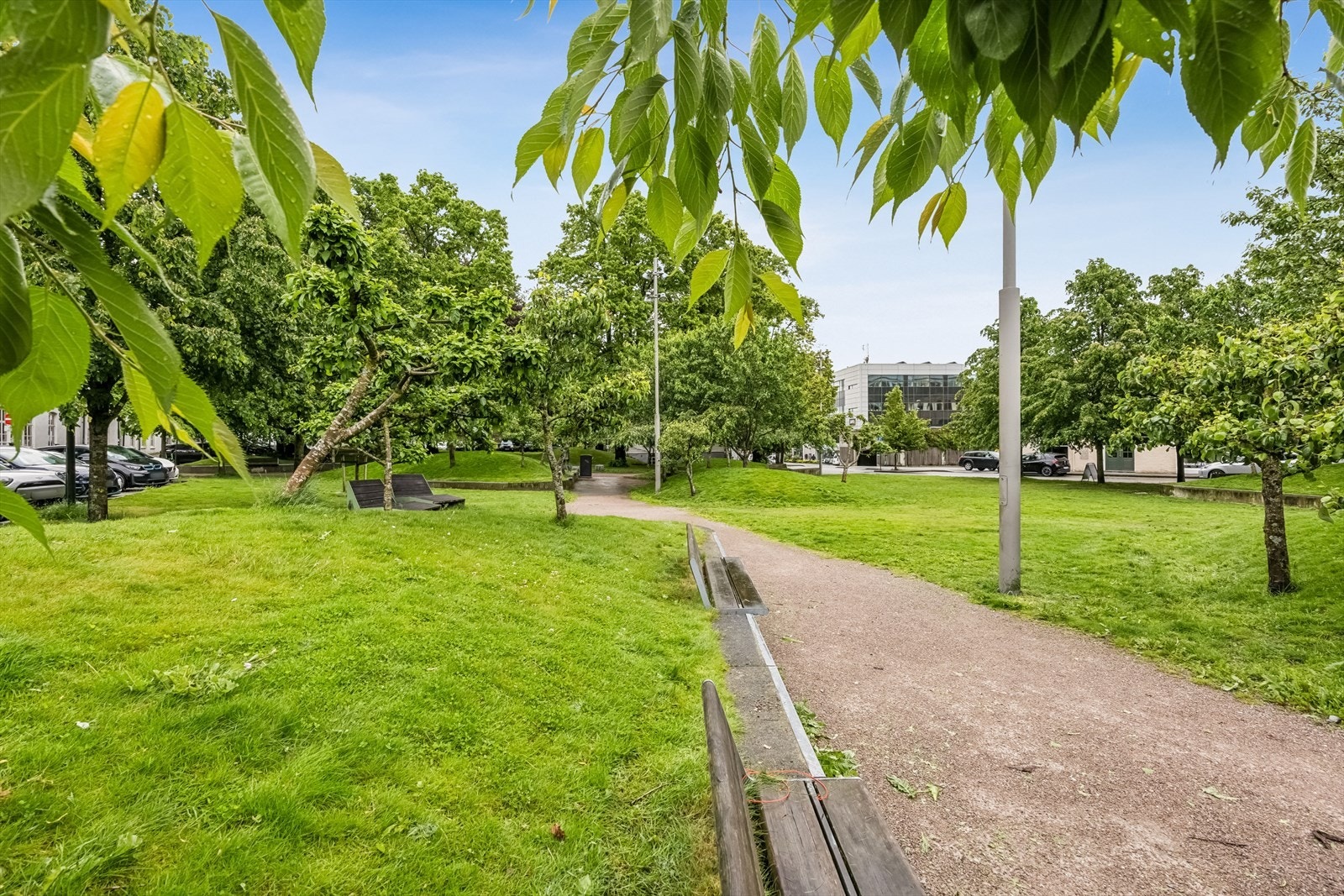 Grønne lunger og fine parkområder finner man også like i nærheten Galleribilde