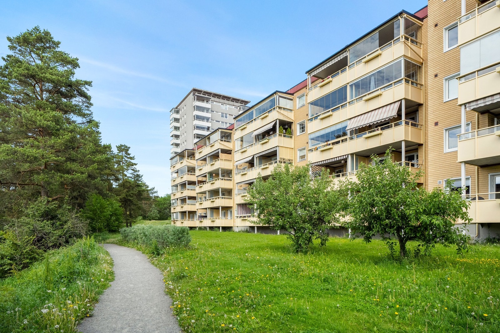 Bak blokken går det fin gangsti med sitteplasser rundt om kring samt store, fine grøntarealer Galleribilde