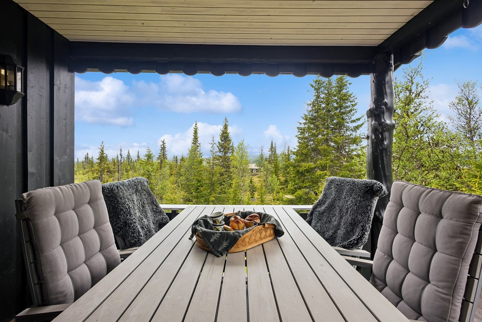 Fra den sørvendte terrassen kan du nyte utsikten over naturomgivelsene. Langrennsløypene starter kun 15 meter fra hytta. Galleribilde