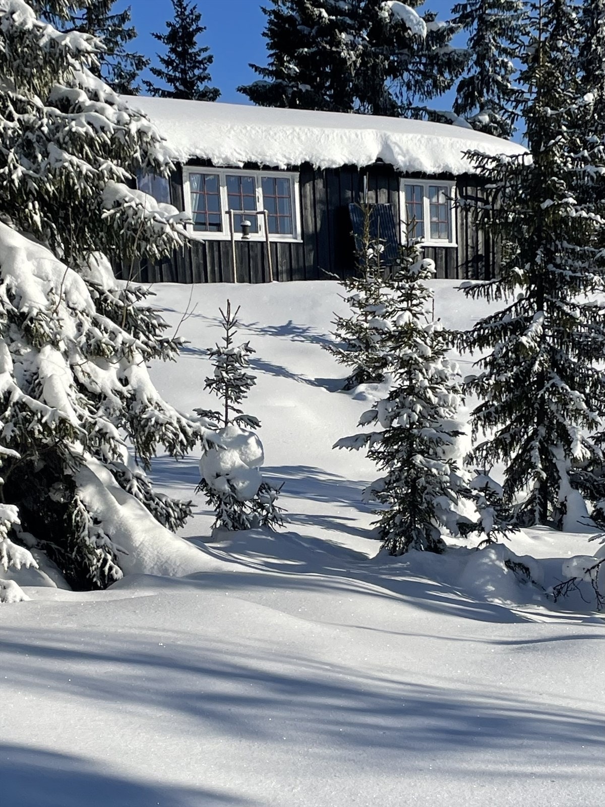 Privat bilde vinter. Galleribilde