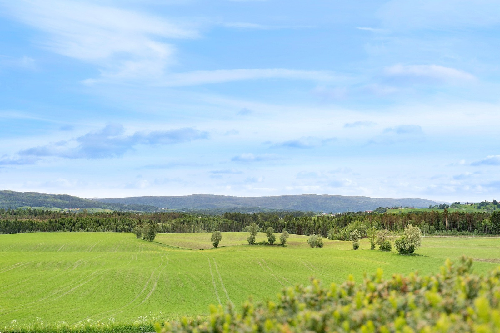 Fra stue og veranda er det veldig fin utsikt over nærområdet. Galleribilde