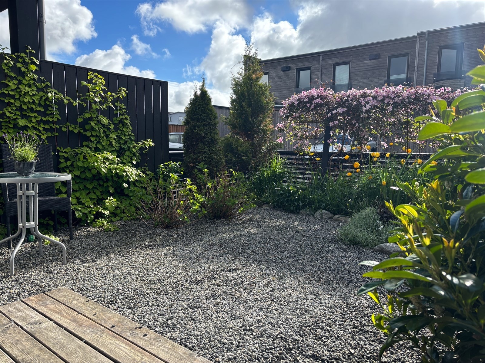 En hage som blomstrer gjennom sesongen. Galleribilde