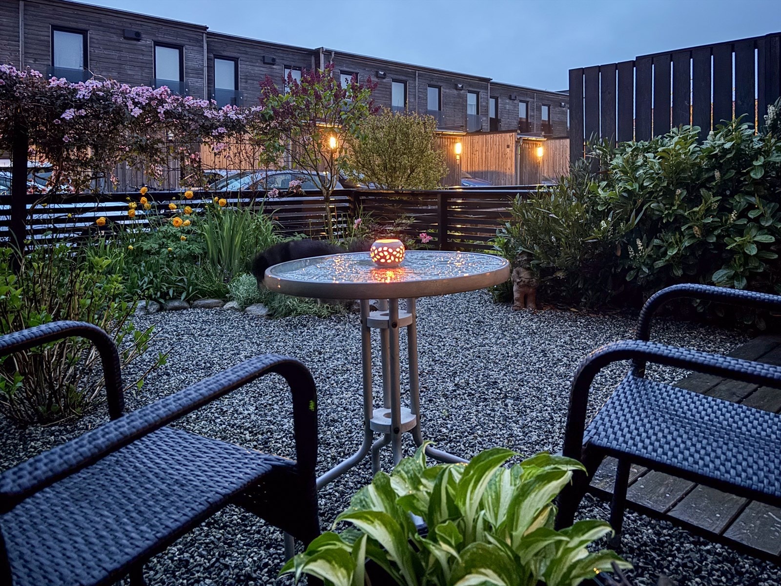 Stemningsfull belysning i hagen på kveldstid. Galleribilde