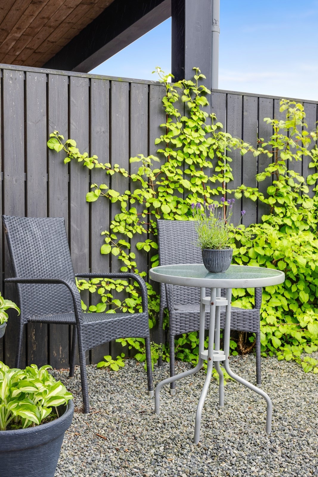 Klatreplanter skaper en grønn og frodig ramme. Galleribilde