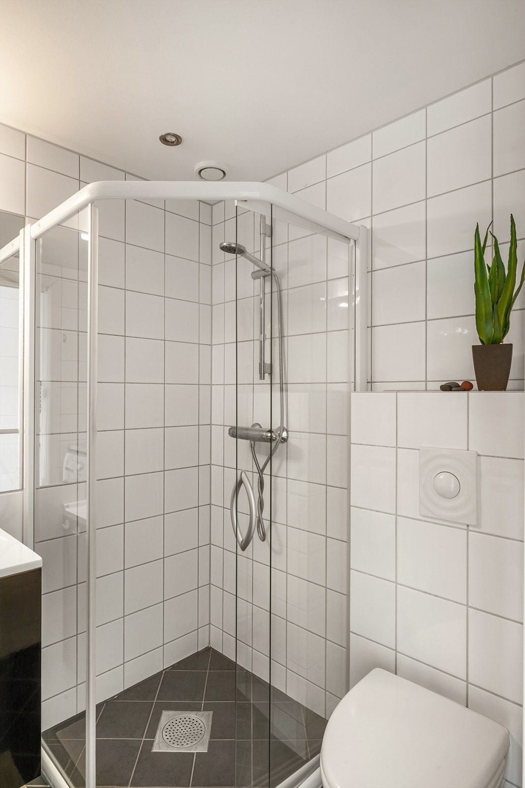 Badet er utstyrt med vegghengt toalett og dusj med glassdører. Galleribilde