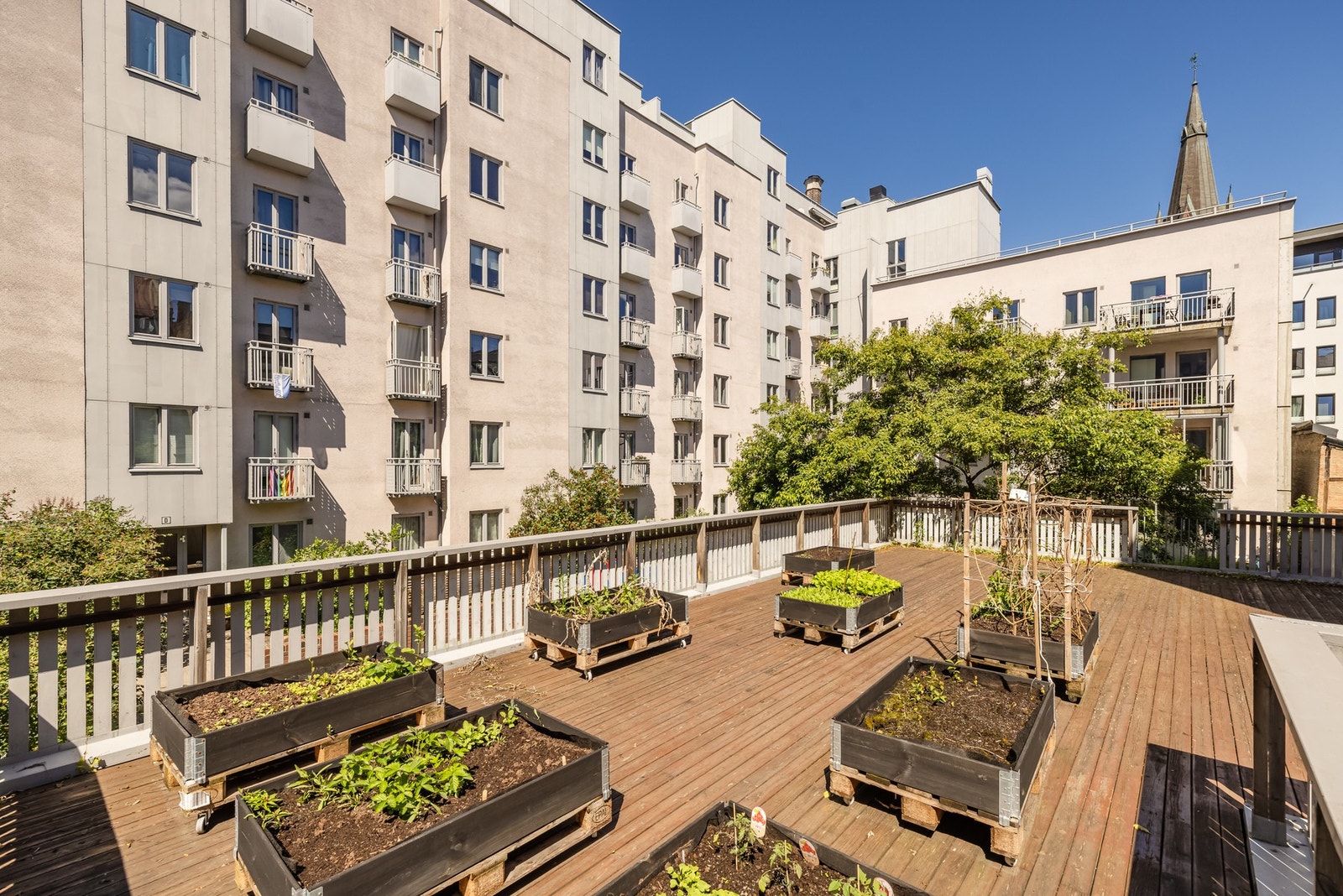 En av takterrassene er utstyrt med plantekasser. Galleribilde