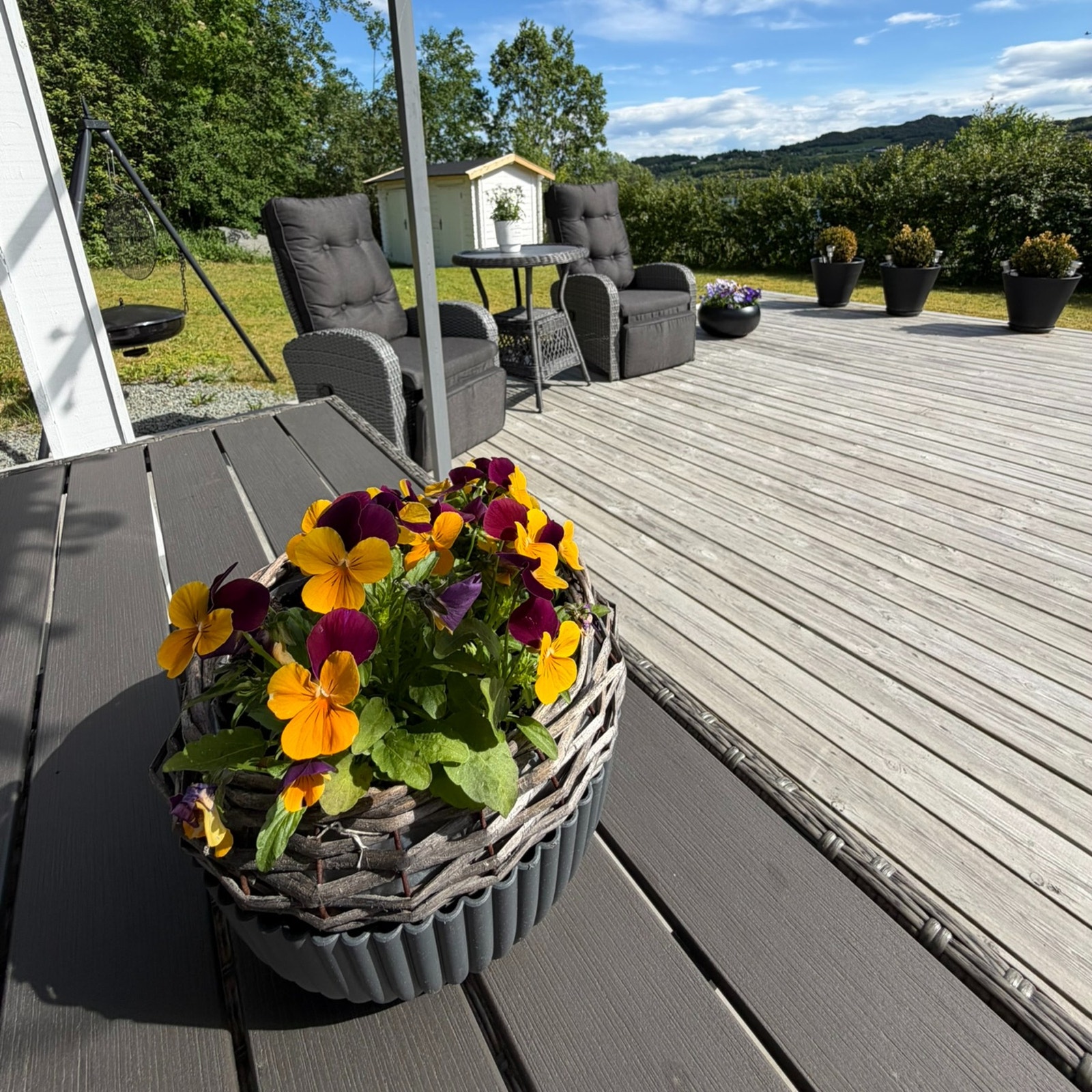 Selgers egne bilder. Galleribilde