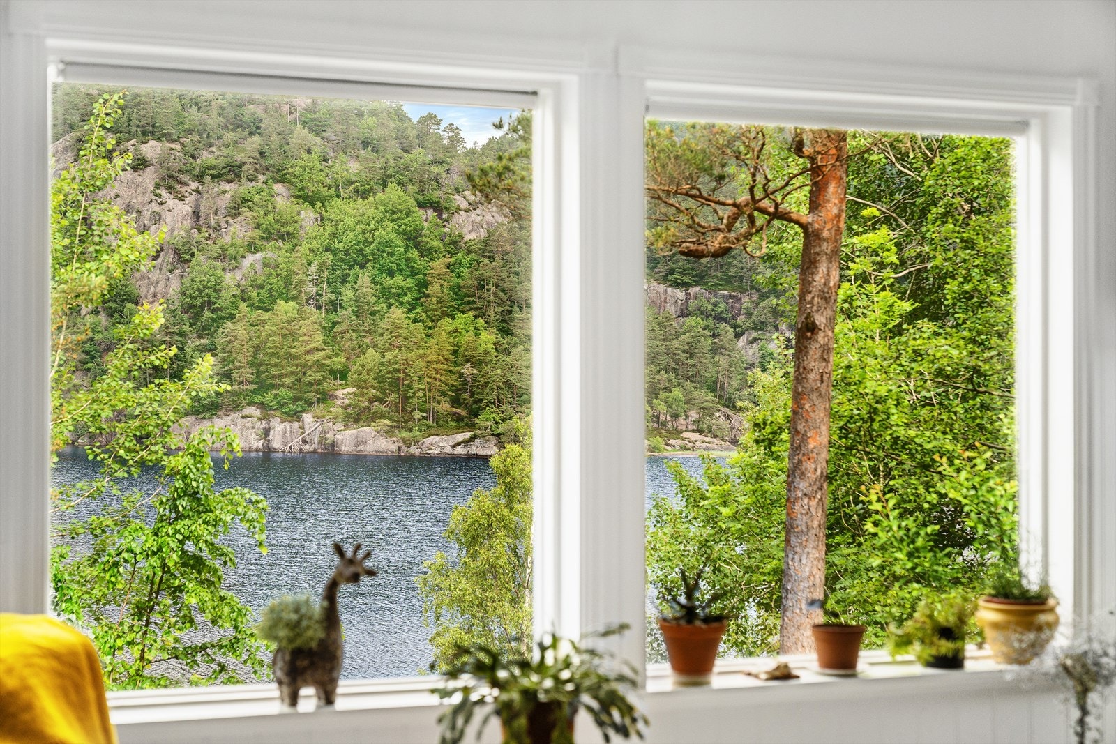 Fra vinduene har man en flott utsikt mot vannet og de grønne omgivelsene. Galleribilde