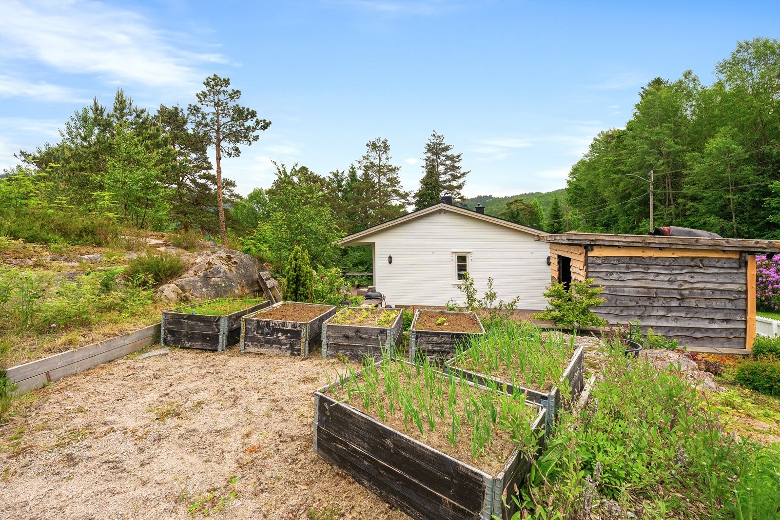 Flere plantekasser gir gode muligheter for dyrking av egne grønnsaker og urter. Galleribilde