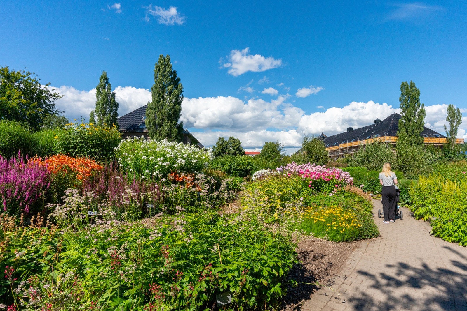 Botanisk hage Galleribilde
