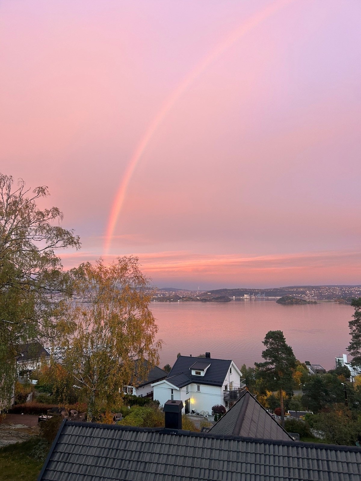Selgers foto: Naturen byr på magiske øyeblikk med vakre rosatoner og regnbue over fjorden. Galleribilde