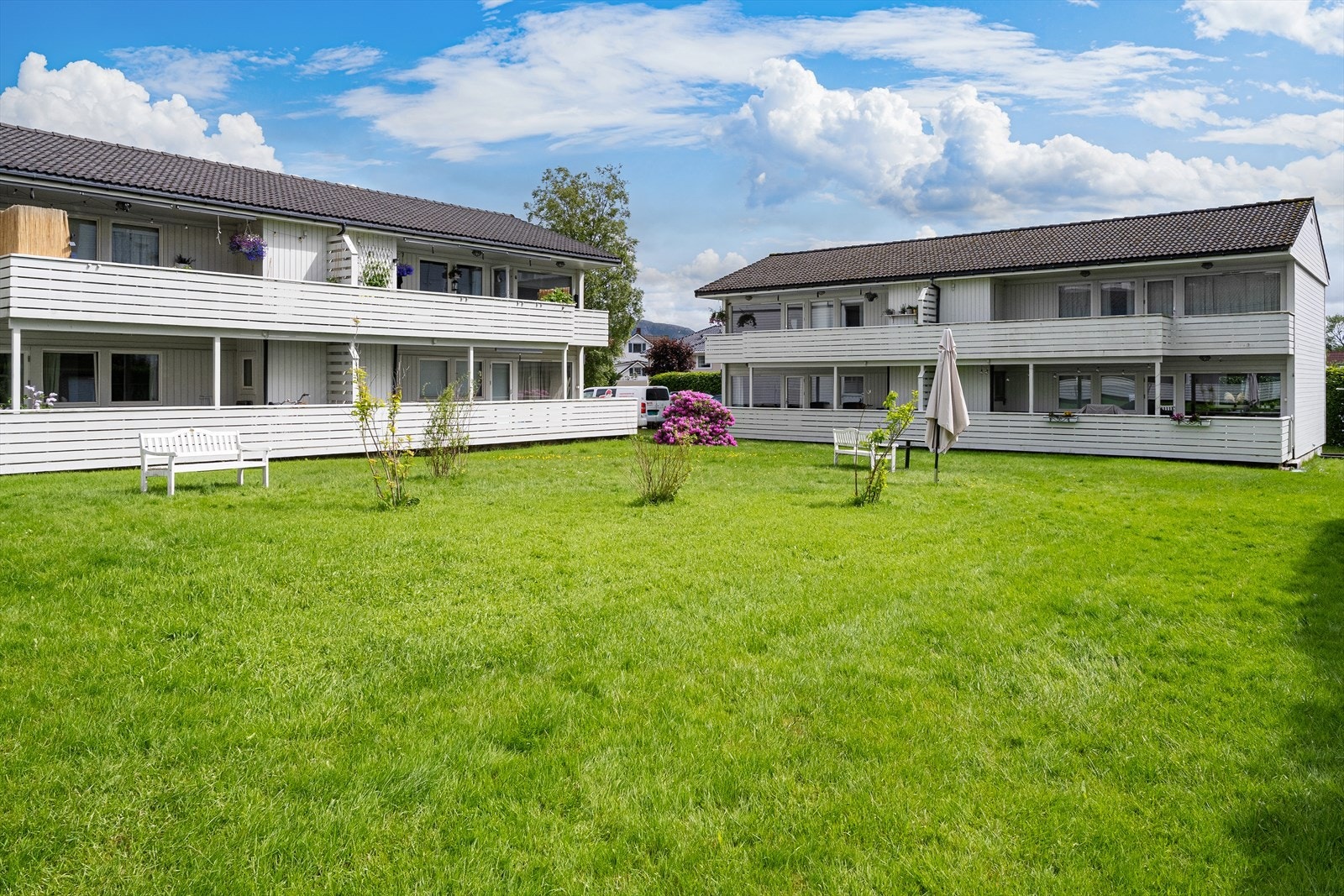 Felles grøntområde for borettslaget. Galleribilde