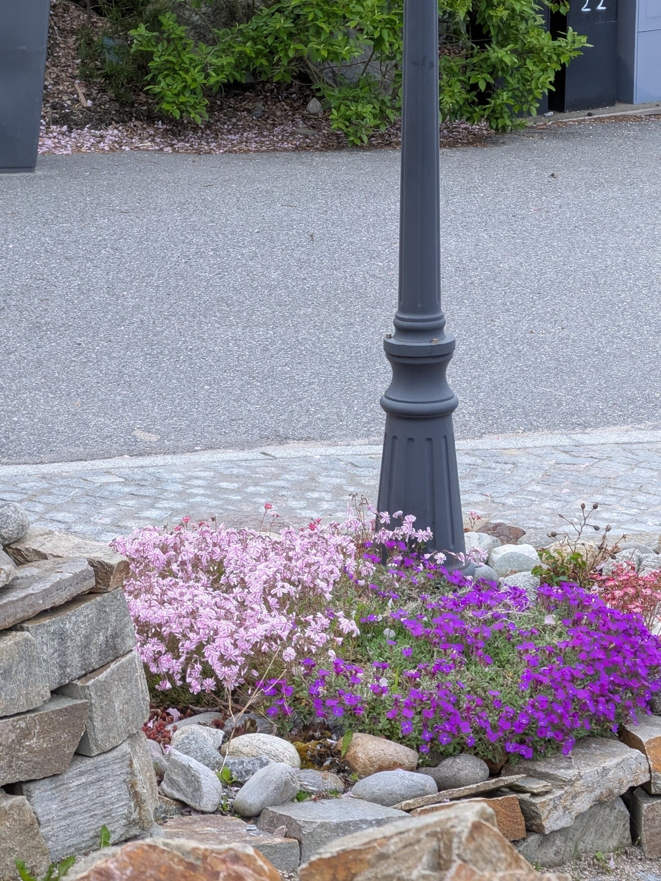 Selgers egne bilder av hage/blomster Galleribilde