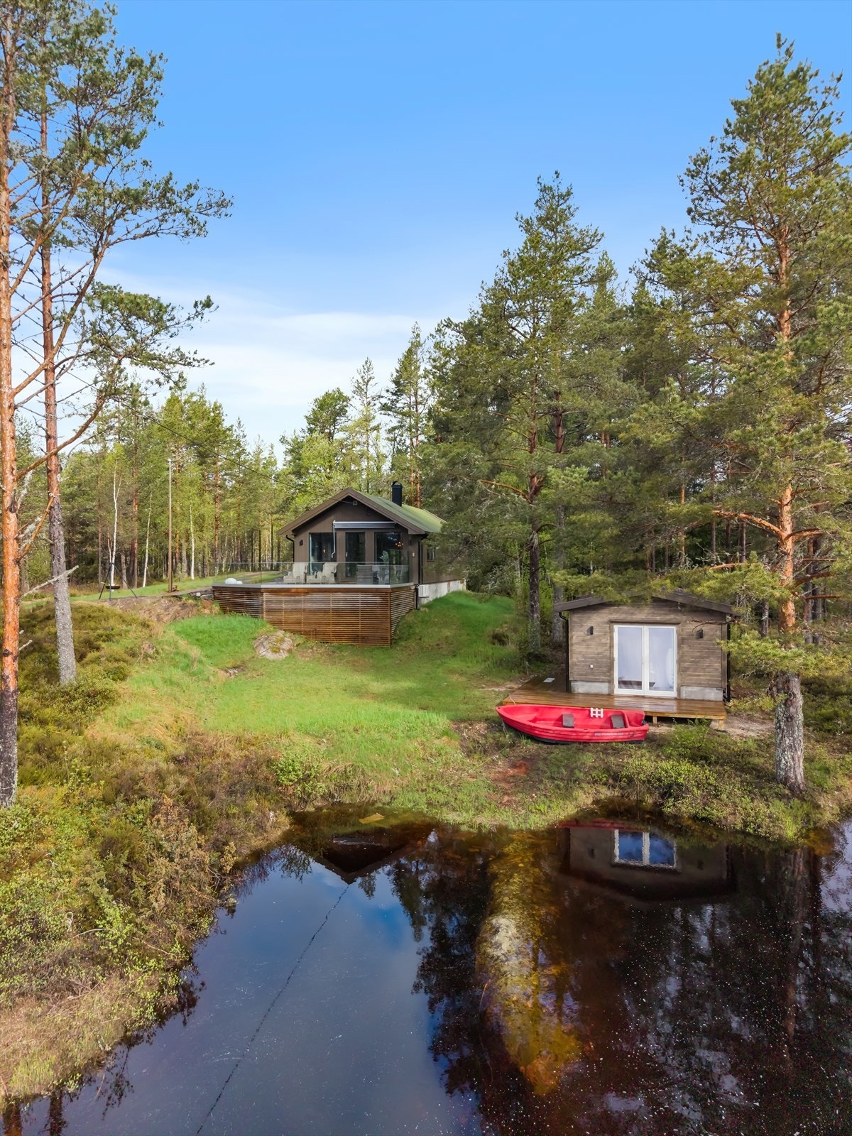 Sjelden mulighet. Galleribilde
