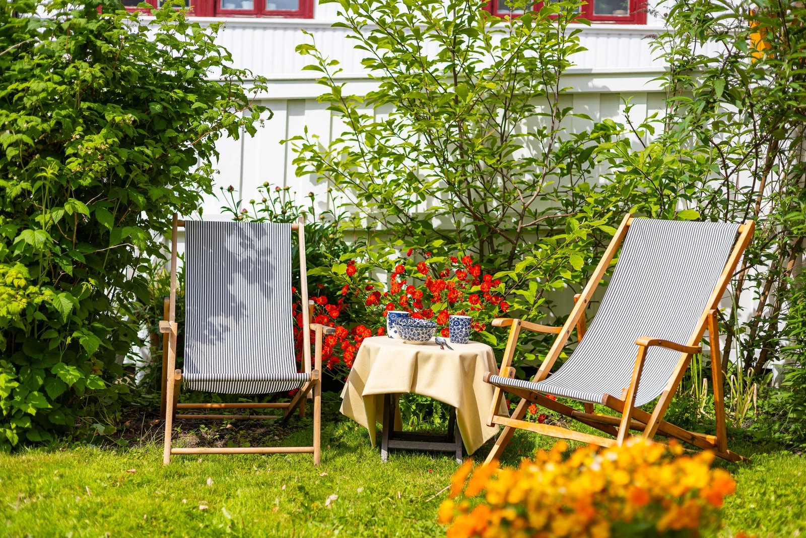 Nyt de gode solforholdene i egen hage. Galleribilde