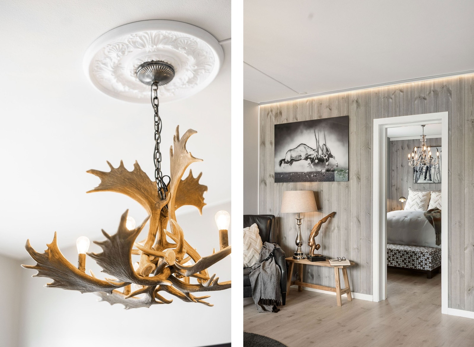 Rosetten og panelveggen setter et elegant preg på rommet. Galleribilde