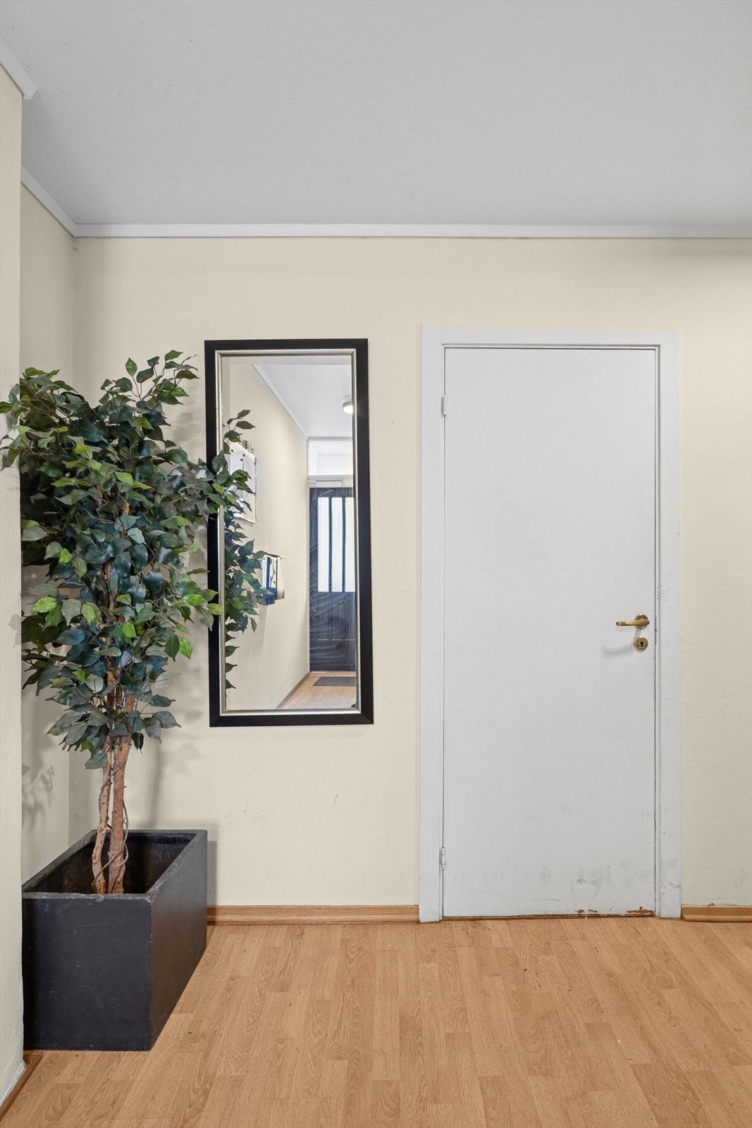Velkommen til en hyggelig visning! Galleribilde