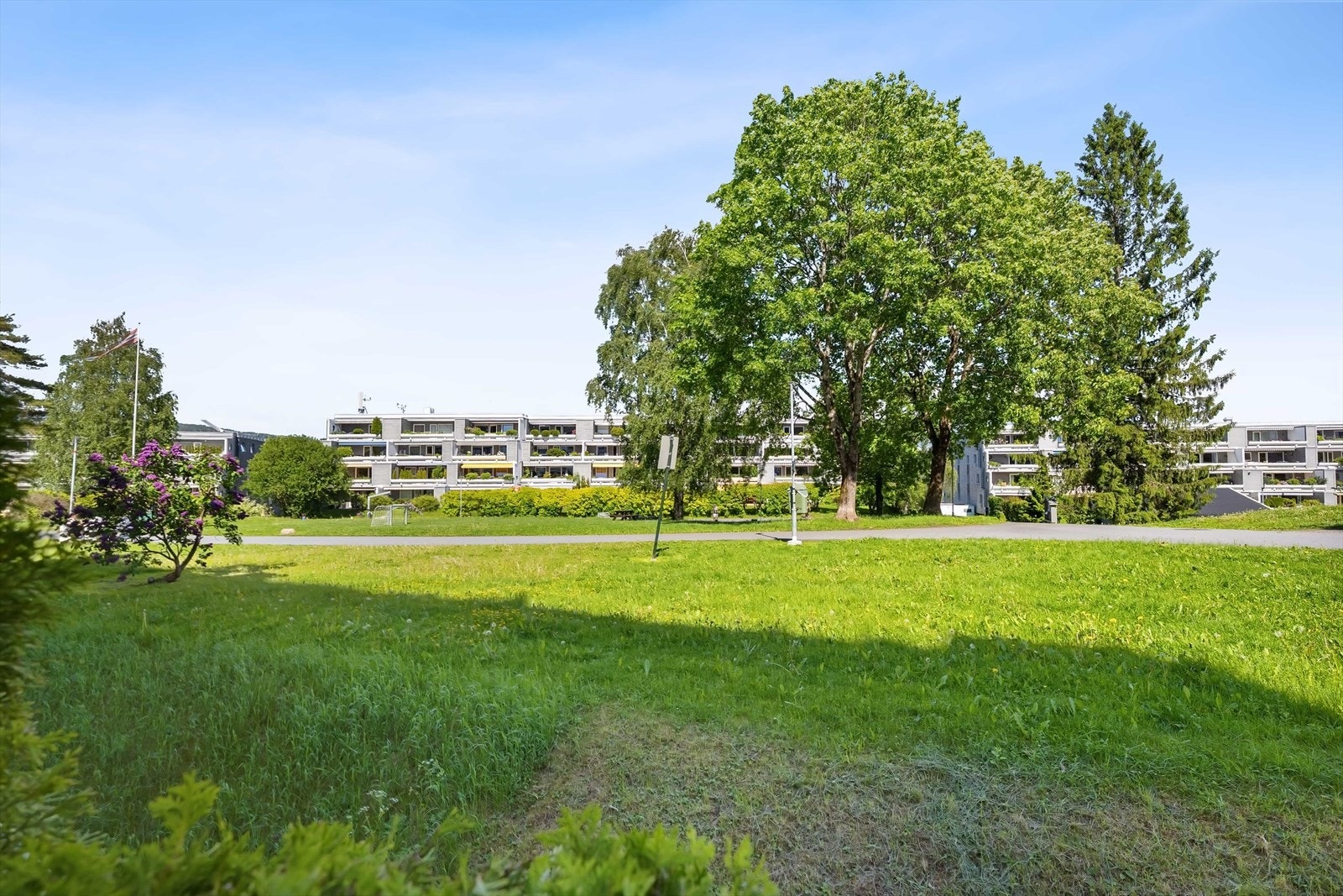 De omfattende grøntområdene mellom bygningene skaper en parkmessig og luftig atmosfære. Galleribilde