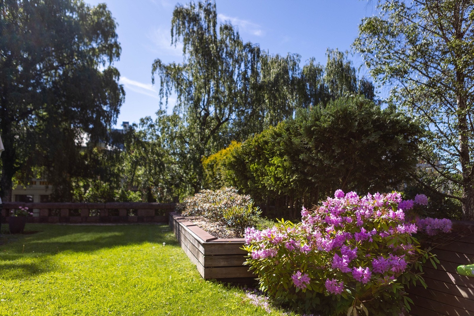Frodig beplantning og sesongens skiftende farger gir hagen karakter gjennom hele året. En sjelden grønn oase midt på Frogner. Galleribilde